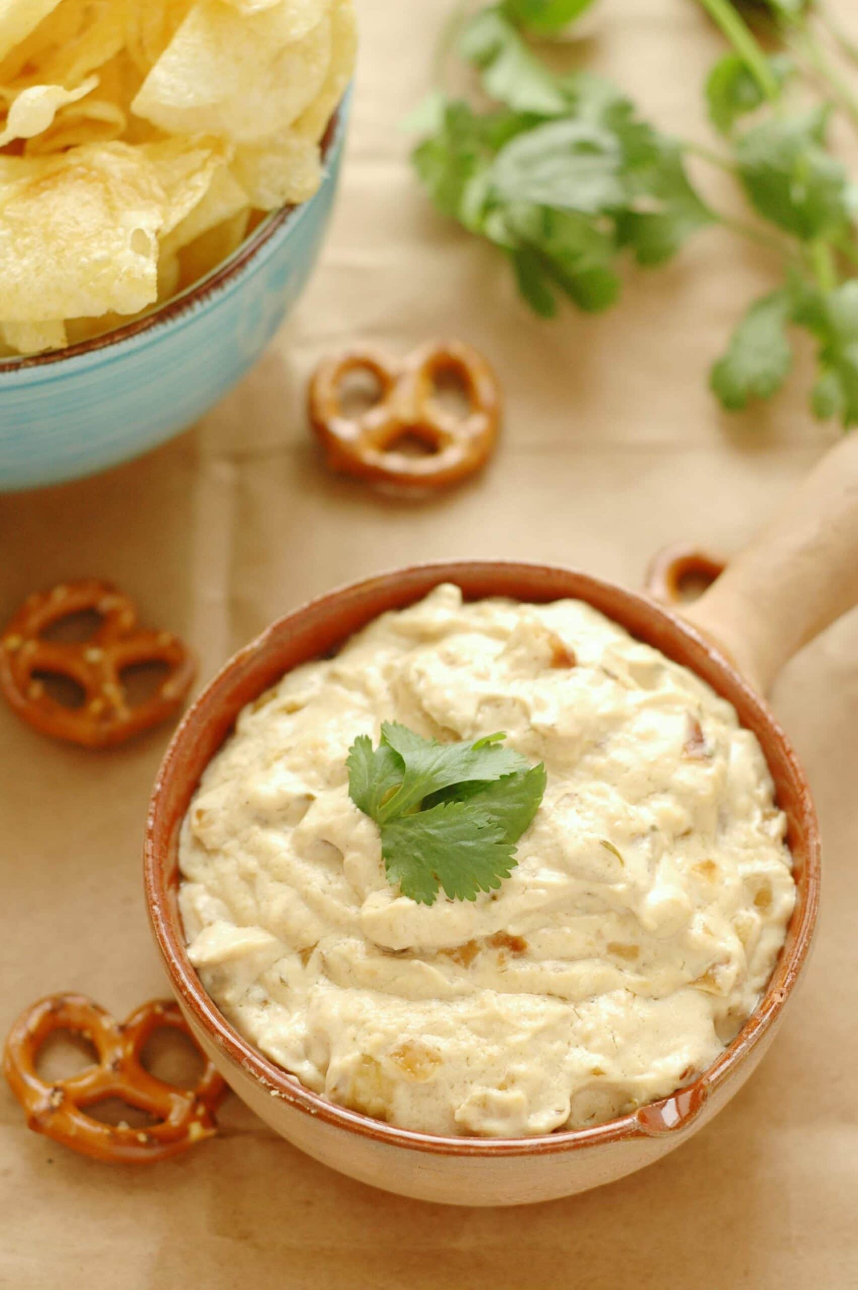 Slow Cooker Caramelized Onion and Asiago Beer Dip
