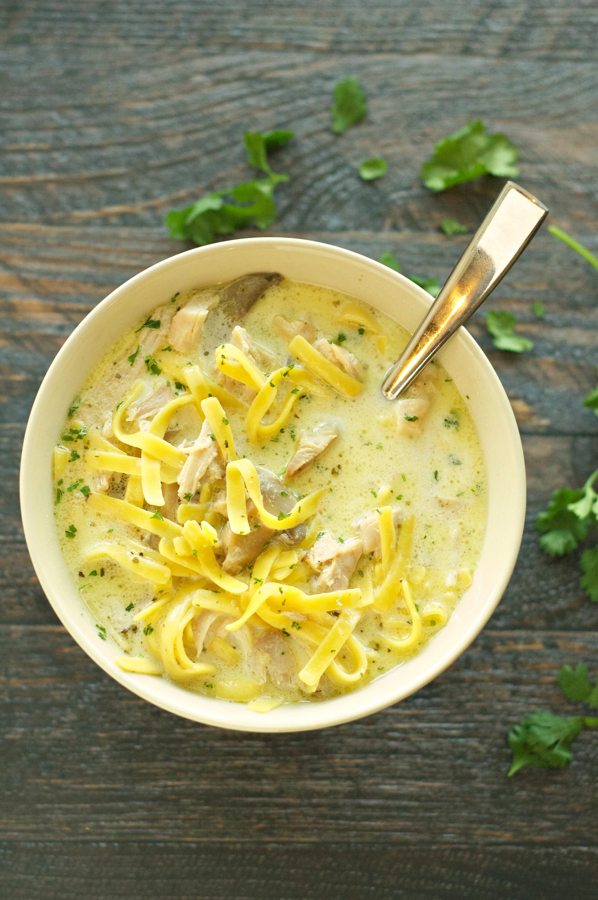 Slow Cooker Creamy Chicken Noodle Soup - Slow Cooker Gourmet