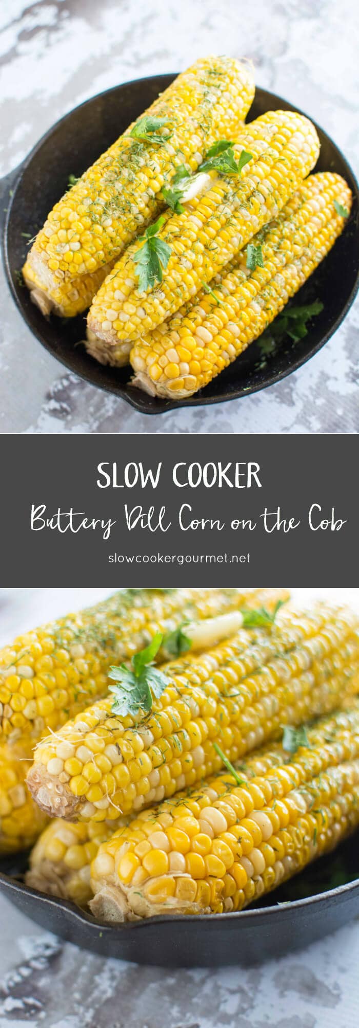 Slow Cooker Buttery Dill Corn on the Cob Slow Cooker Gourmet