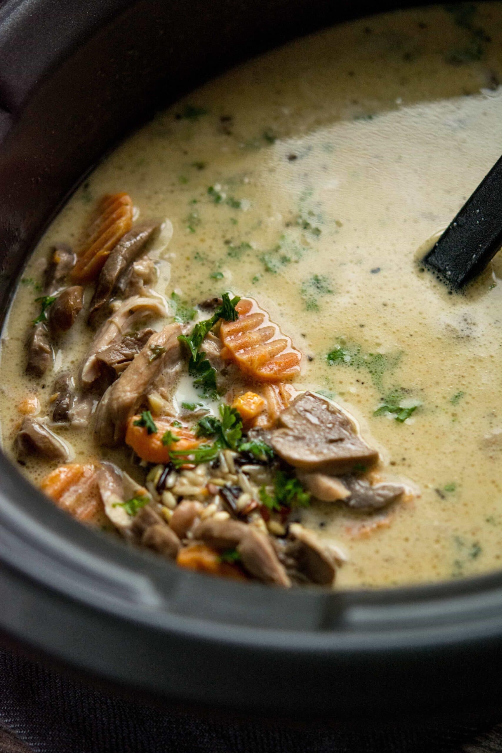 https://slowcookergourmet.net/wp-content/uploads/2015/10/Slow_Cooker_Chicken_Wild_Rice_Soup-6-scaled.jpg