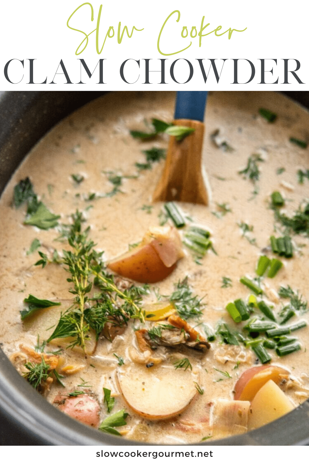 Slow Cooker Clam Chowder - Slow Cooker Gourmet