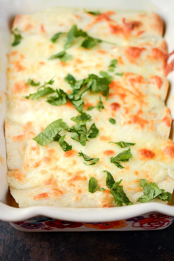 Slow Cooker Adobo Chicken Enchiladas