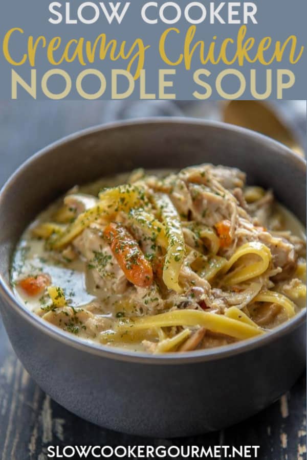 Creamy Crockpot Chicken Noodle Soup - Simple Joy