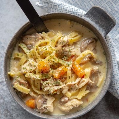 chicken noodle soup from the instant pot in a metal bowl