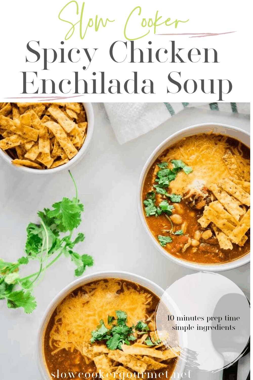 Slow Cooker Spicy Chicken Enchilada Soup Slow Cooker Gourmet