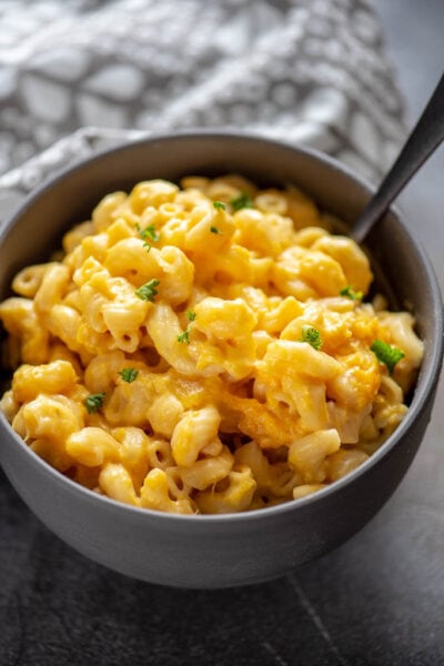 Instant Pot Butternut Squash Mac and Cheese - Slow Cooker Gourmet