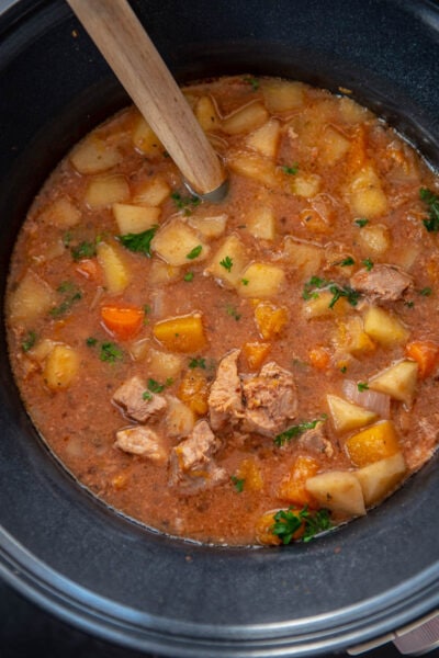 pork stew in slow cooker with ladle
