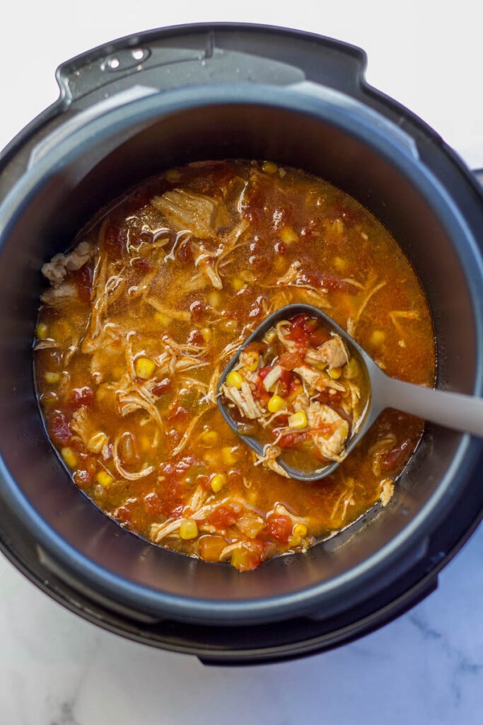 spicy chicken soup in Instant Pot