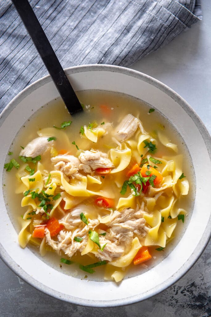 white and gray bowl filled with chicken noodle soup