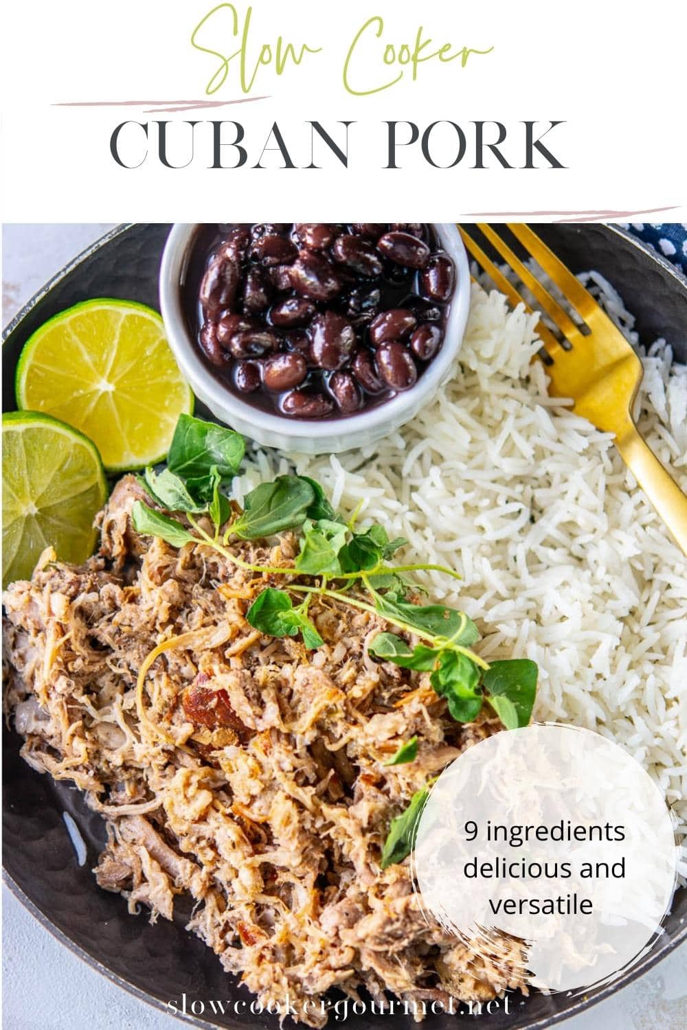 Slow Cooker Cuban Pork - Slow Cooker Gourmet