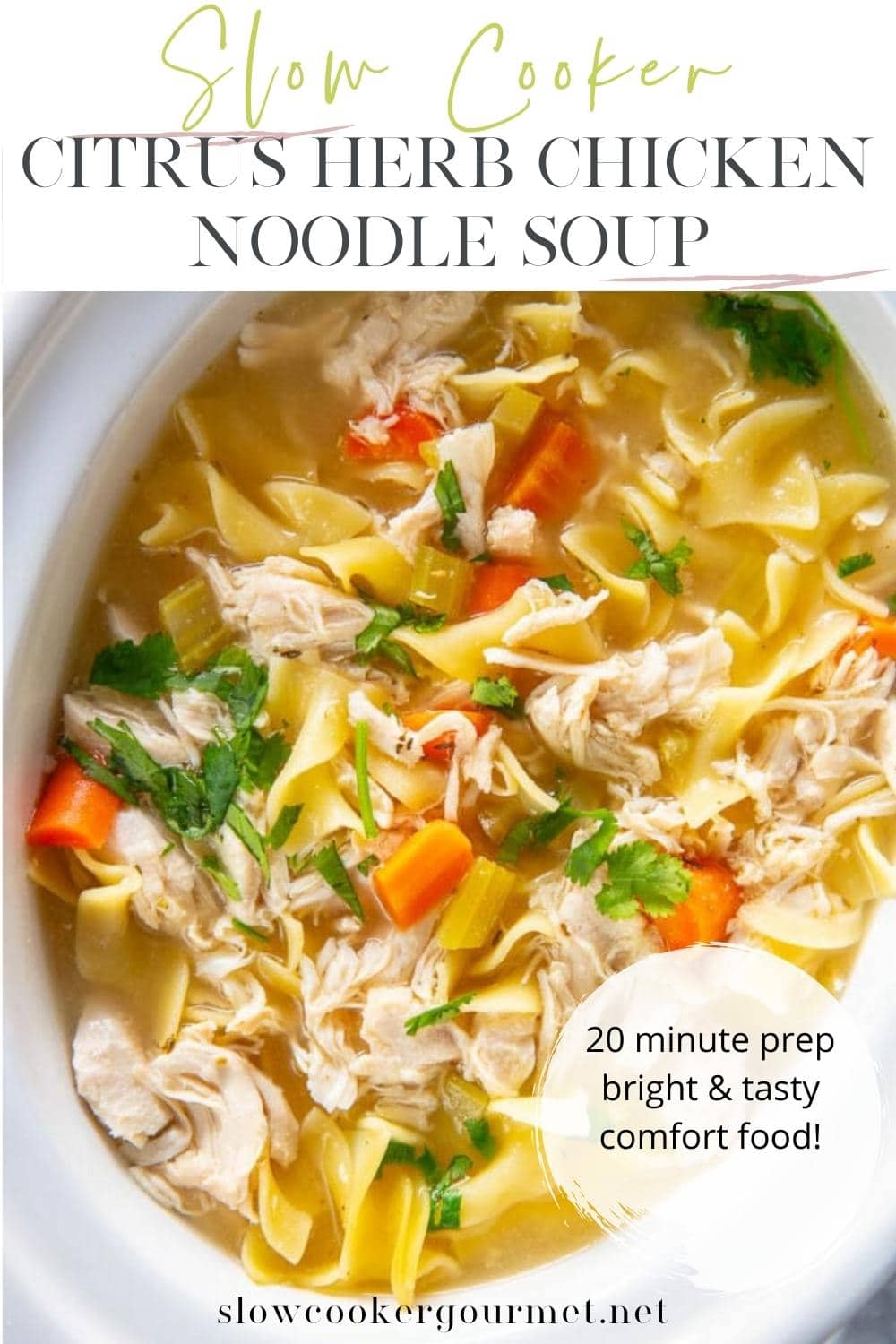 Slow Cooker Chicken Noodle Soup - Slow Cooker Gourmet