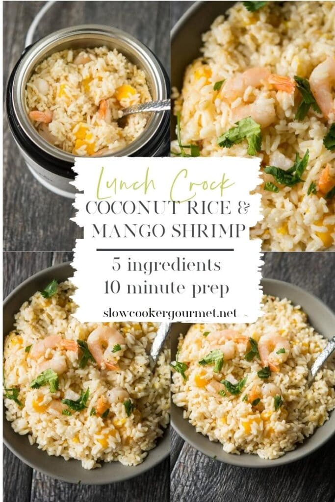 How To Make Slow Cooker Rice – Moments With Mandi
