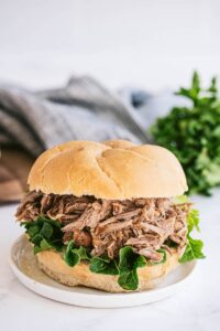 pulled pork sandwich on a plate