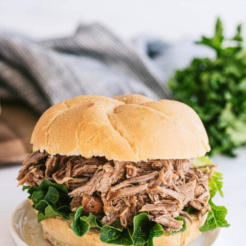 pulled pork sandwich on a plate