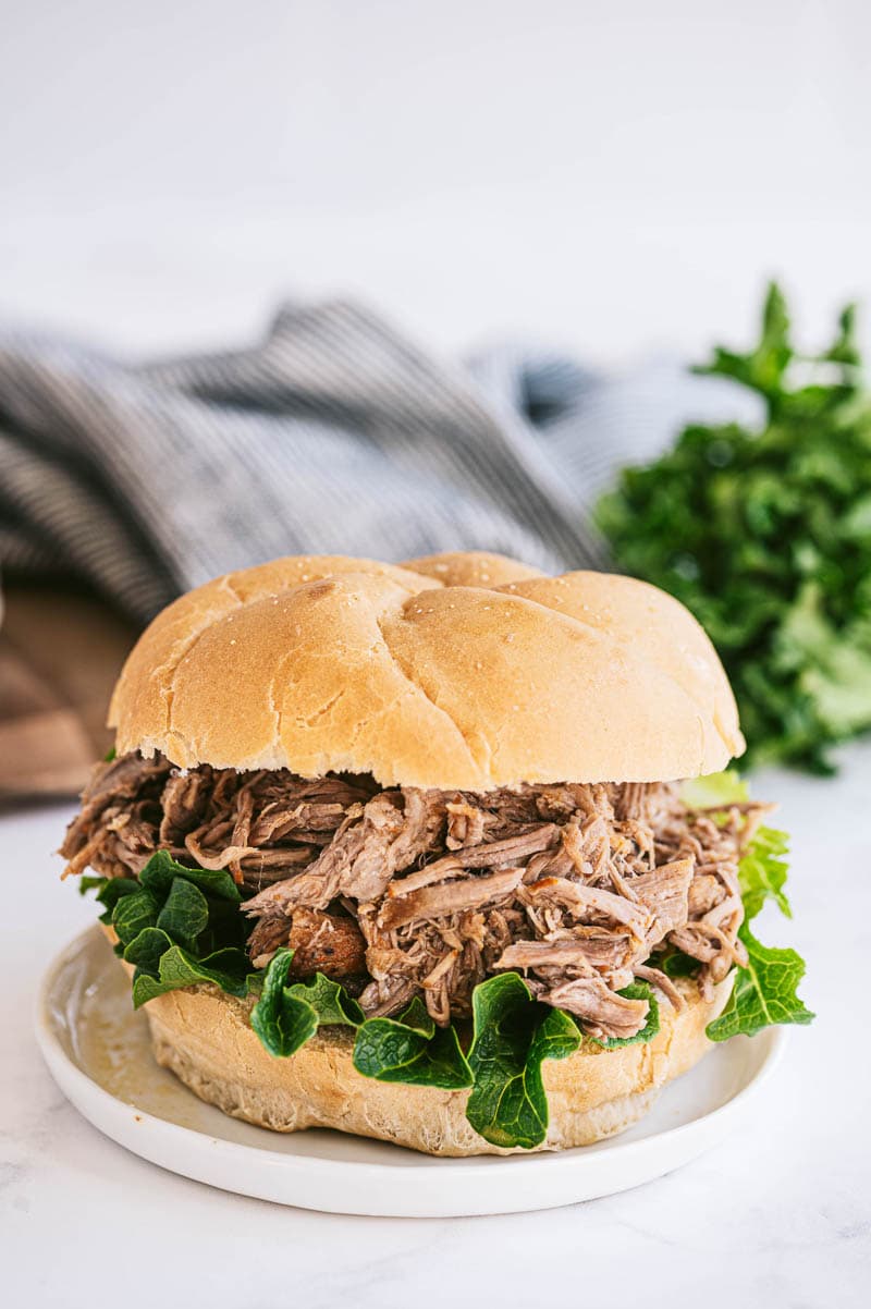 https://slowcookergourmet.net/wp-content/uploads/2021/04/Slow-Cooker-Pulled-Pork-24-of-25.jpg