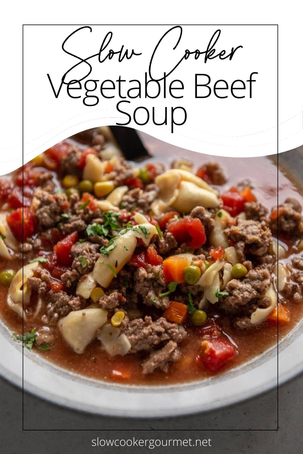 Slow Cooker Vegetable Beef Soup - Slow Cooker Gourmet