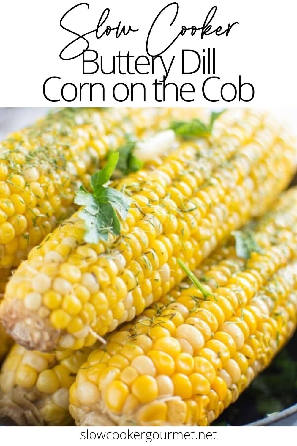 Slow Cooker Buttery Dill Corn on the Cob Slow Cooker Gourmet