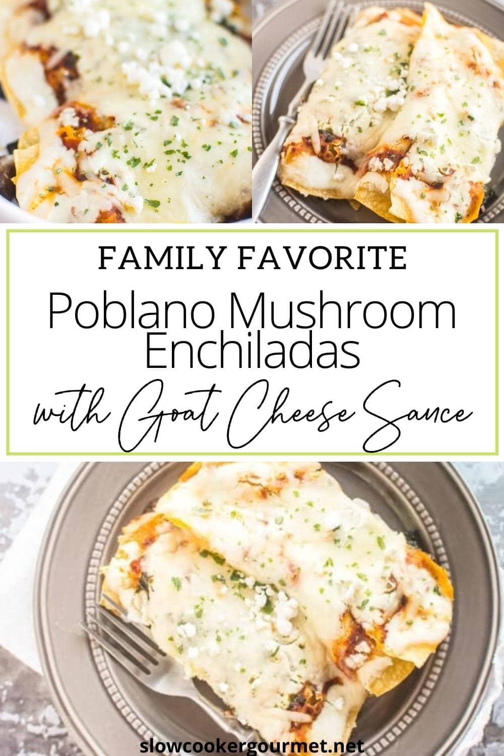 Poblano Mushroom Enchiladas with Goat Cheese Sauce Slow Cooker Gourmet