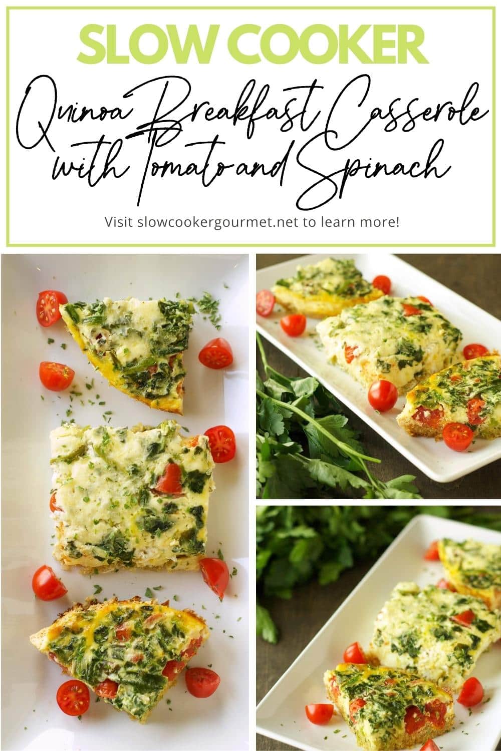Slow Cooker Quinoa Breakfast Casserole with Tomato and Spinach Slow Cooker Gourmet