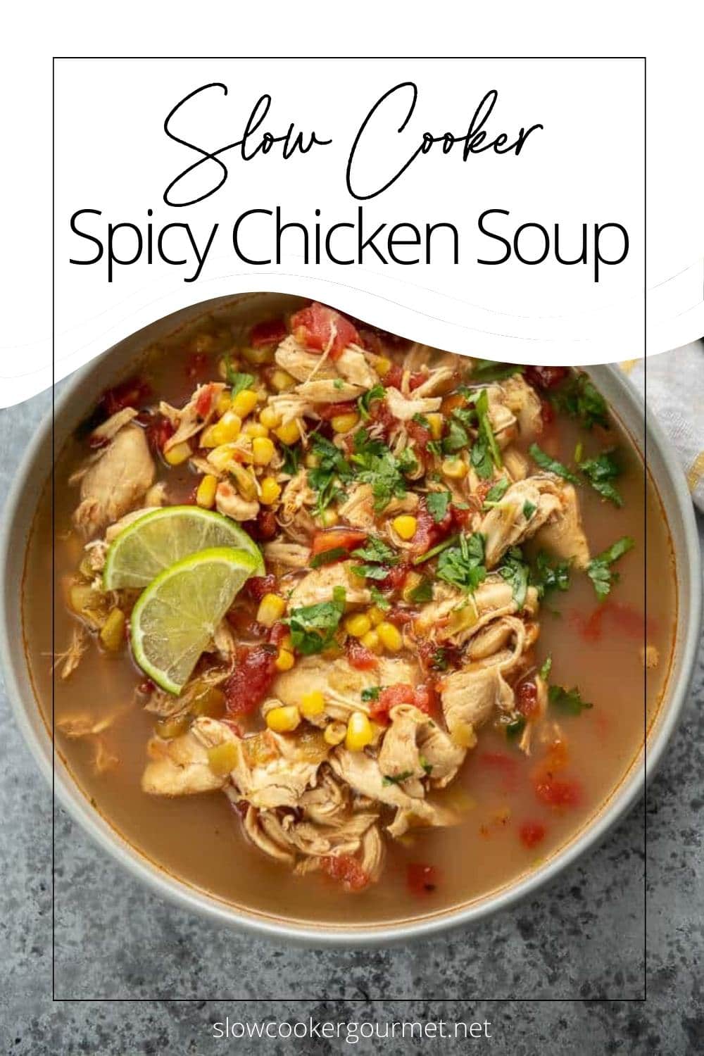 Slow Cooker Spicy Chicken Soup - Slow Cooker Gourmet