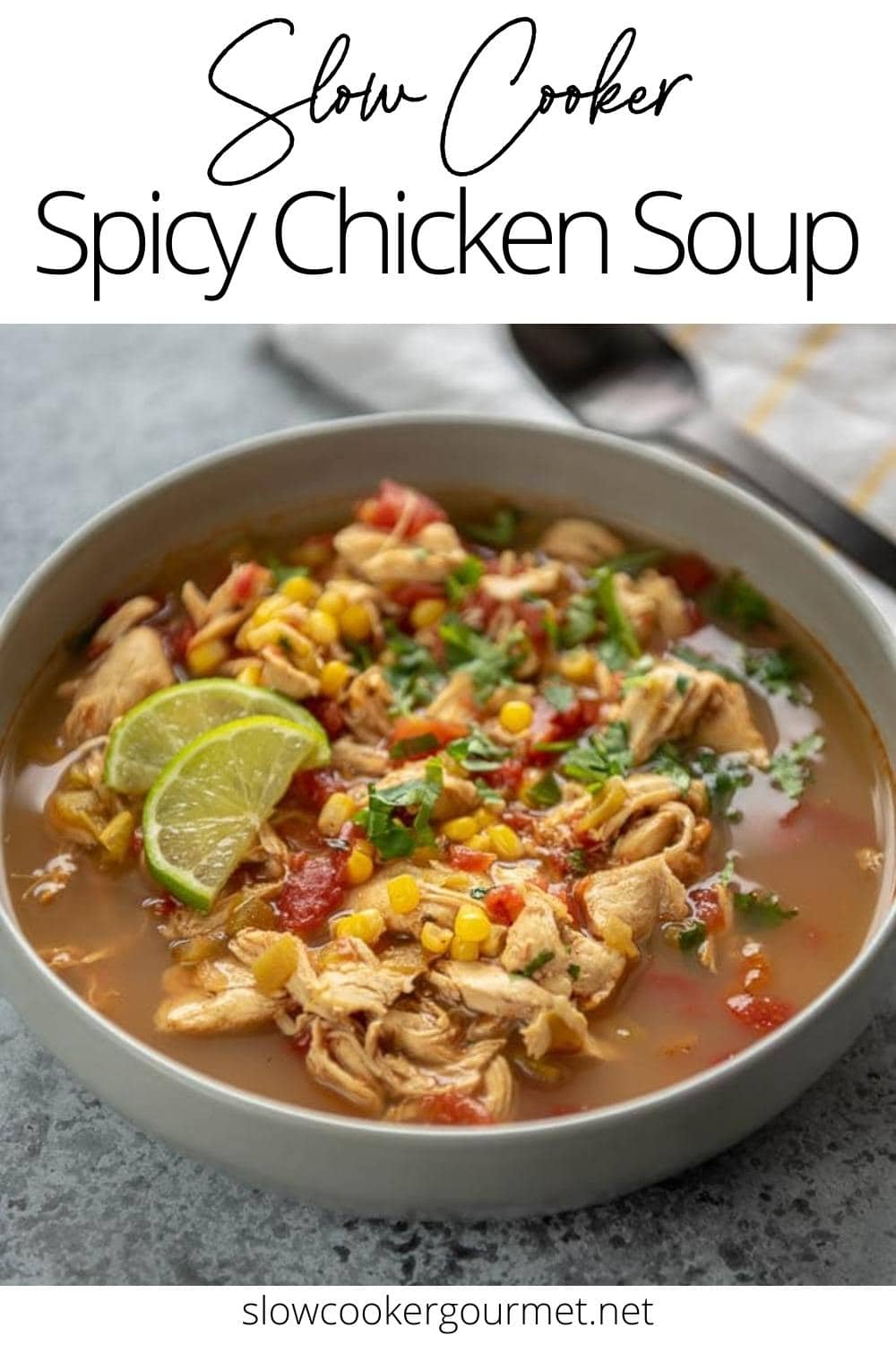 Slow Cooker Spicy Chicken Soup - Slow Cooker Gourmet