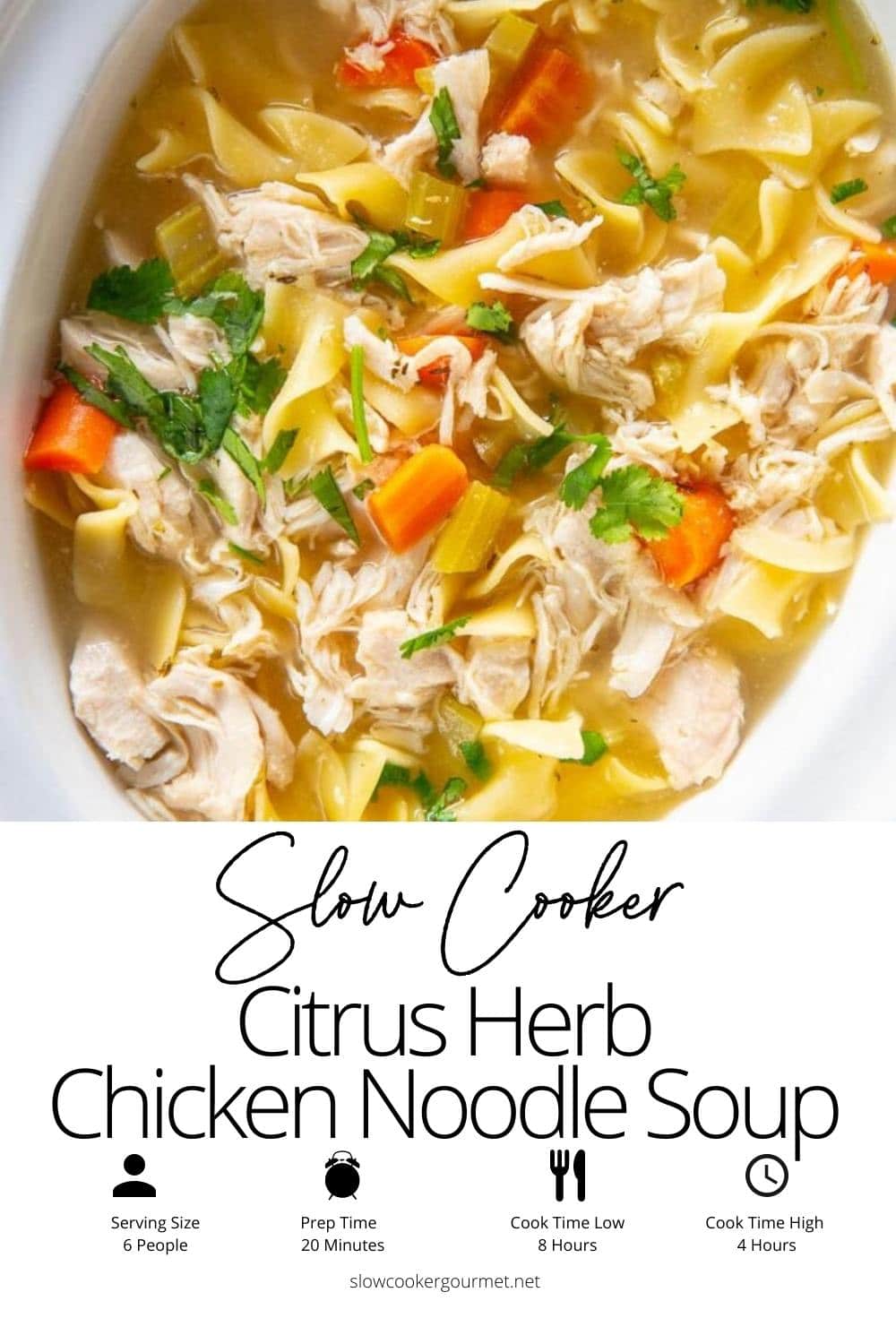 Slow Cooker Chicken Noodle Soup Slow Cooker Gourmet