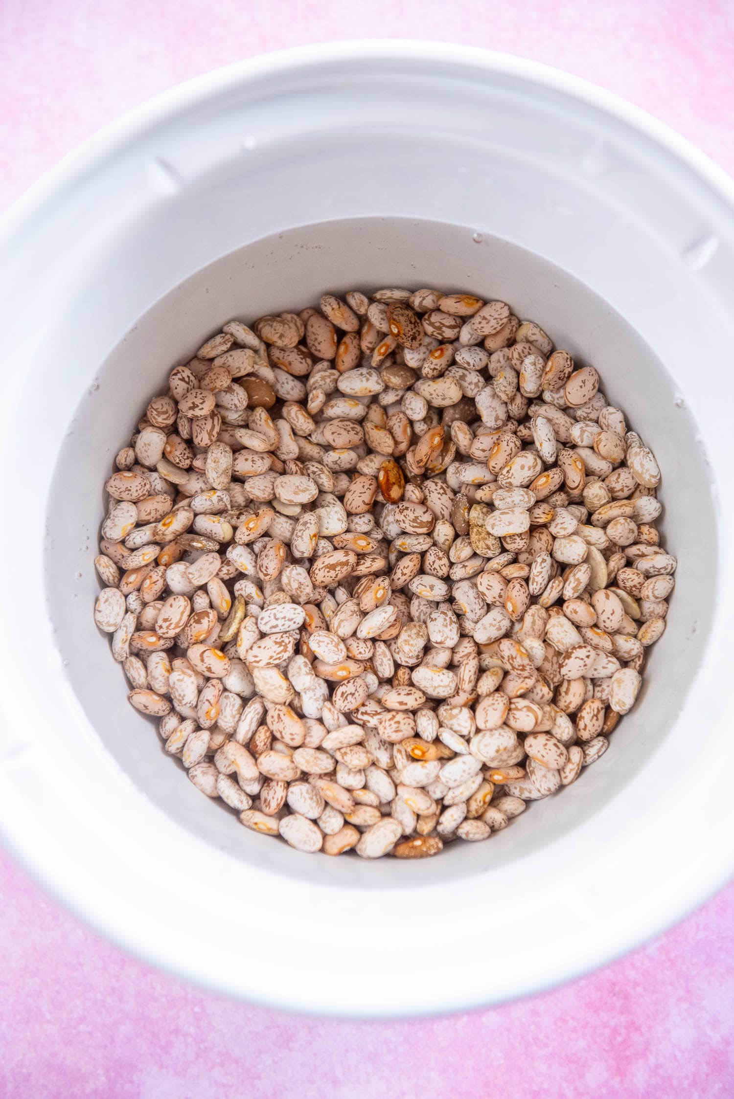 dried pinto beans soaking in slow cooker