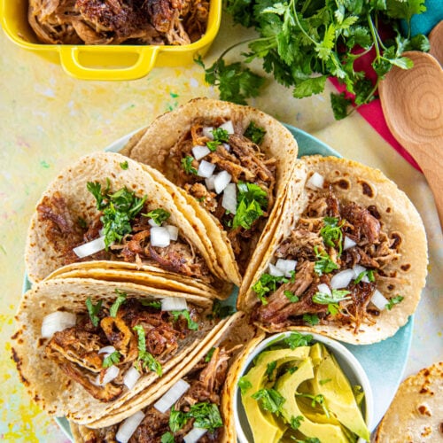 carnitas street tacos on a round blue plate with sliced avocados in a white dish
