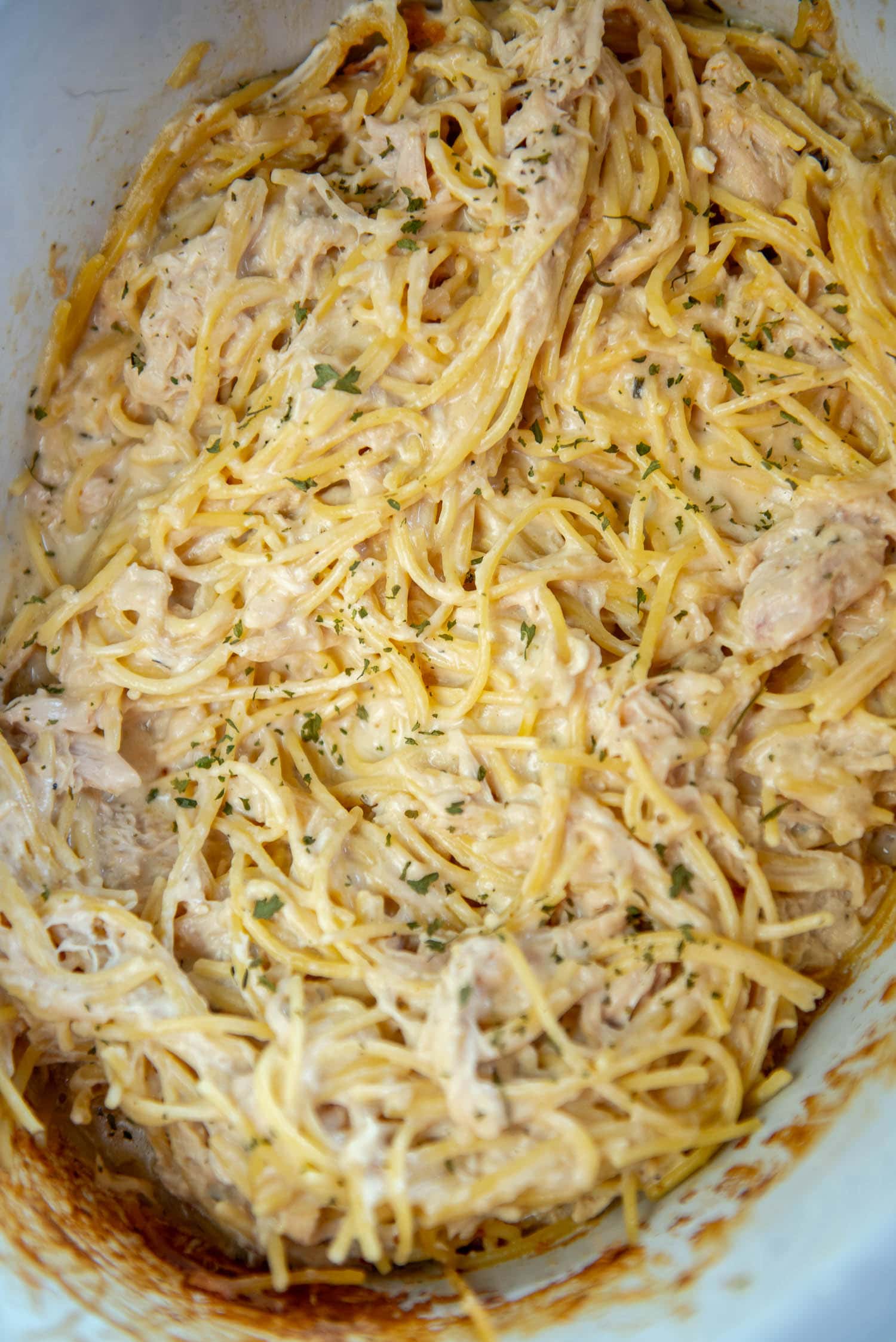 Cooked spaghetti mixed with white sauce, cooked chicken, and green garnishing in white slow cooker bowl