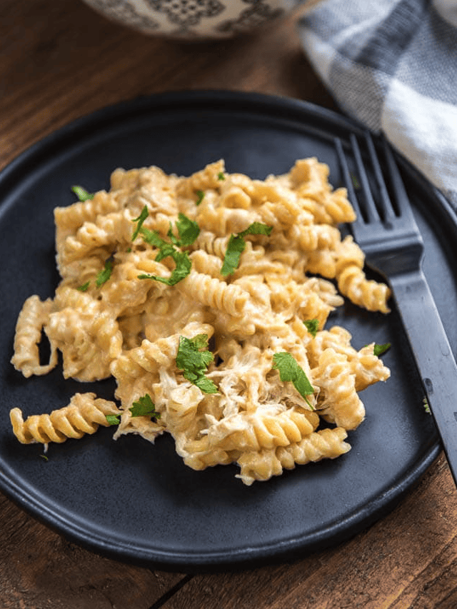 Slow Cooker Mac and Cheese with Garlic Chicken Slow Cooker Gourmet