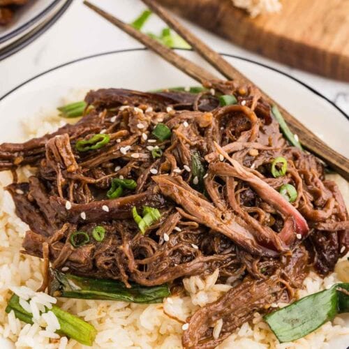 Rice and shredded Mongolian beef, garnished with freshly sliced green served on a bed of rice