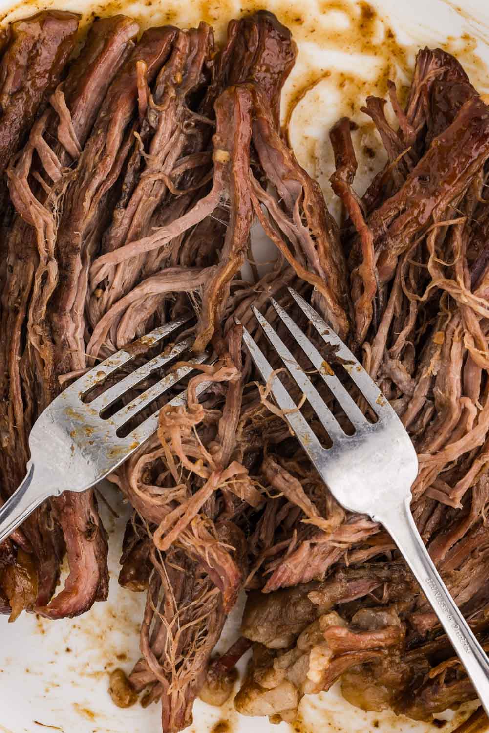 Close up image of Slow Cooker Mongolian Beef being shredded with 2 forks