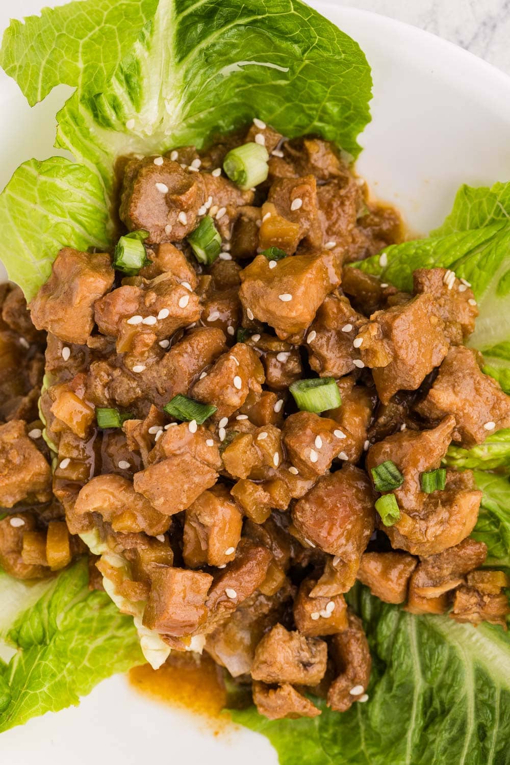 Close up of Slow Cooker Honey Garlic Chicken served on romaine lettuce