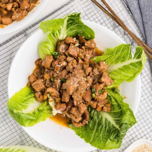 Slow Cooker Honey Garlic Chicken served on romaine lettuce