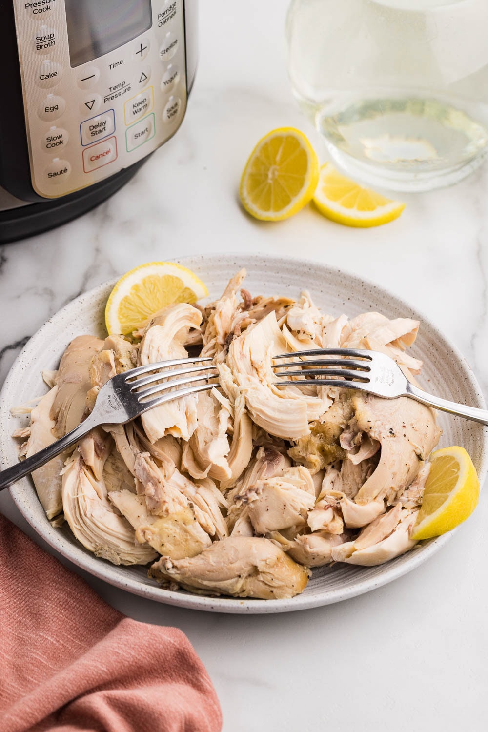 Chicken shredded on plate served on plate