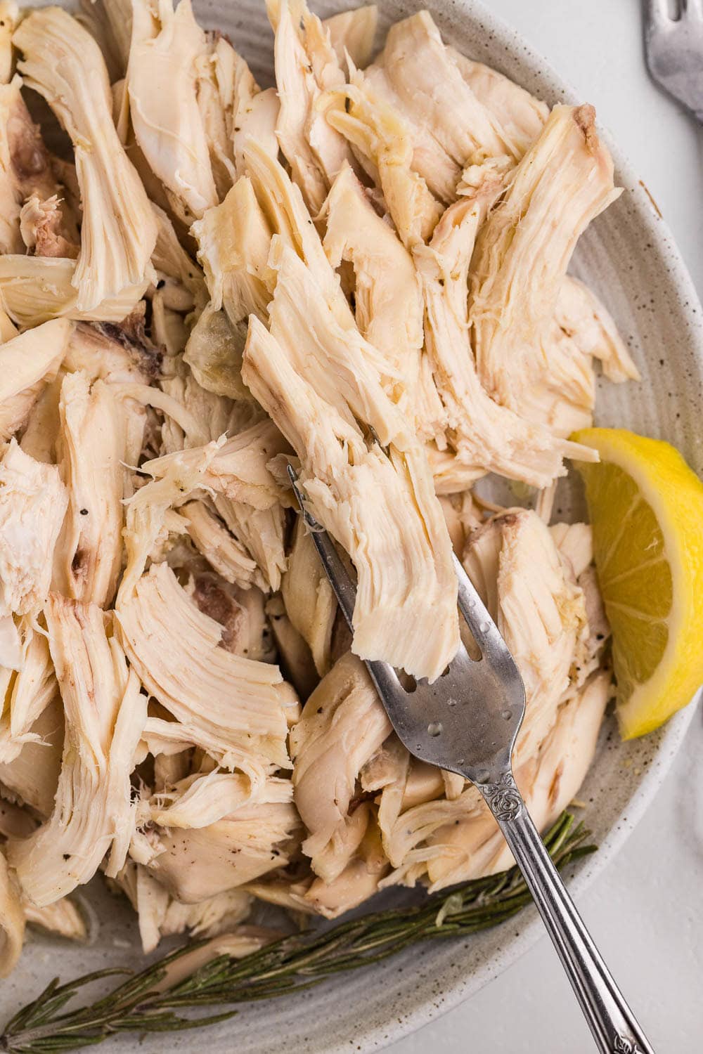 Shredded chicken on plate