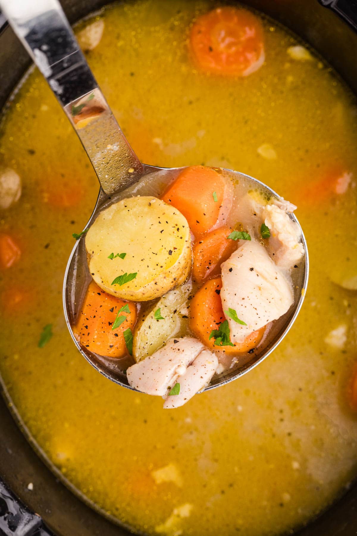 Slow Cooker Chicken Stew garnished