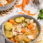 bowl of slow cooker chicken stew