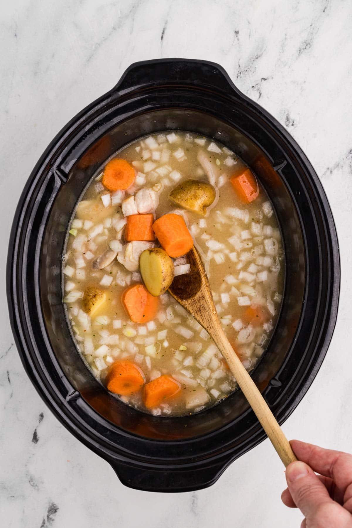 Slow Cooker Chicken Stew