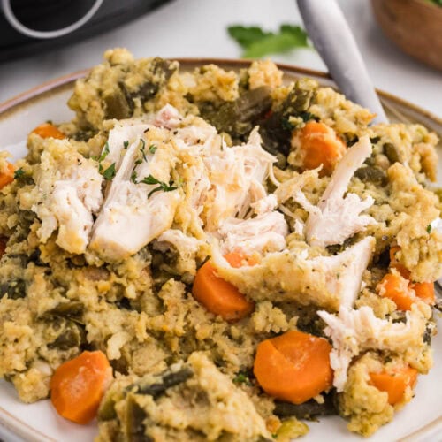Slow cooker chicken and stuffing