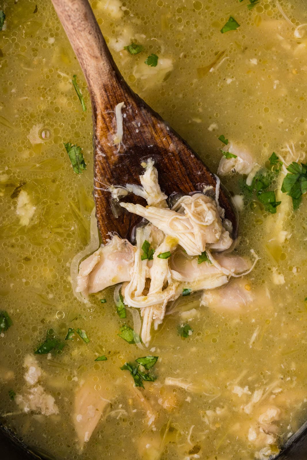 closeup view of chile verde with wooden spoon
