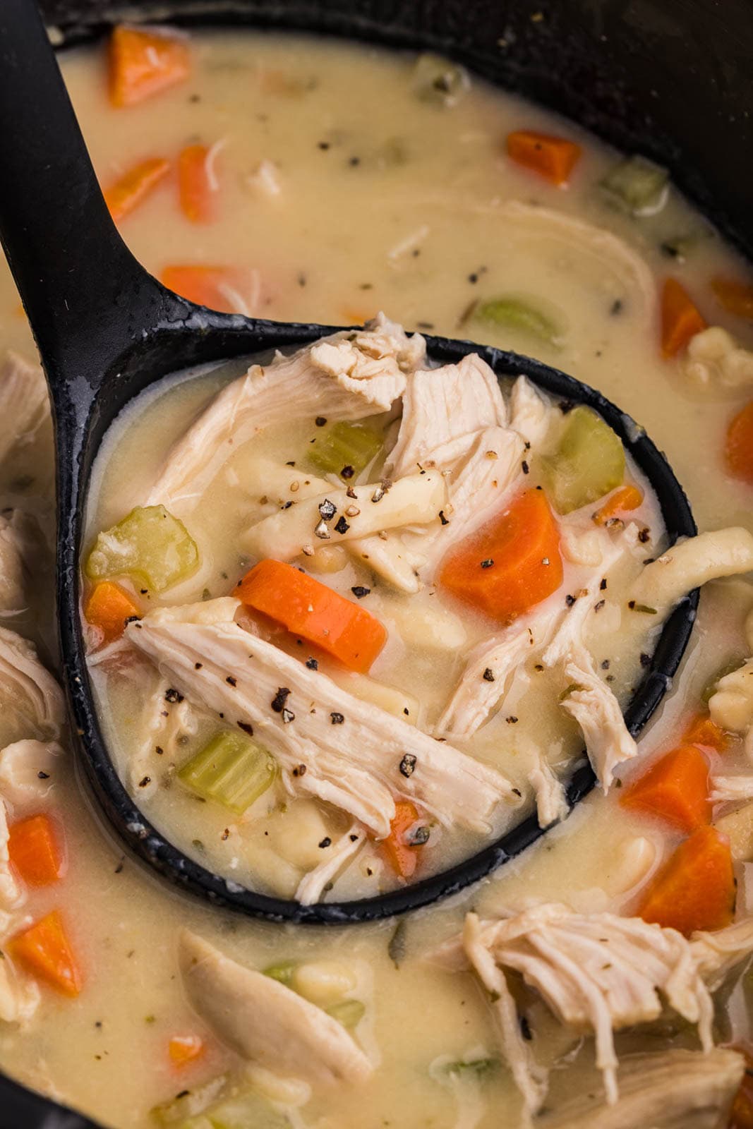 Easy Slow Cooker Chicken Noodle Soup - Slow Cooker Gourmet