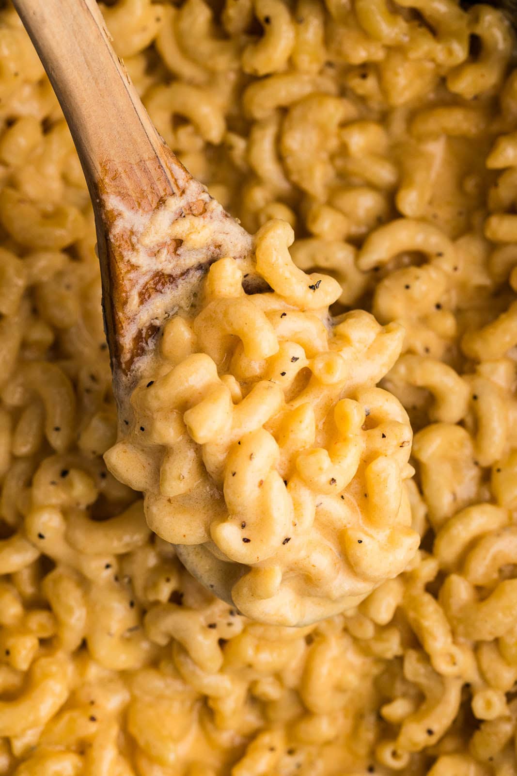 closeup view of cooked Mac and cheese with wooden spoon inserted