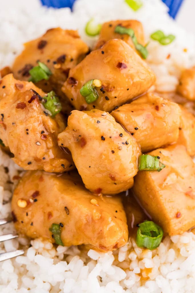 closeup view of apricot chicken on bed of white rice