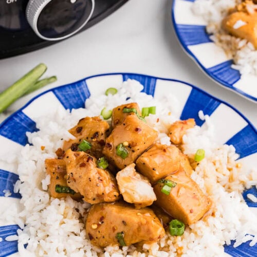 two blue and white dinner plates of white rice and apricot chicken, with black slow cooker in background