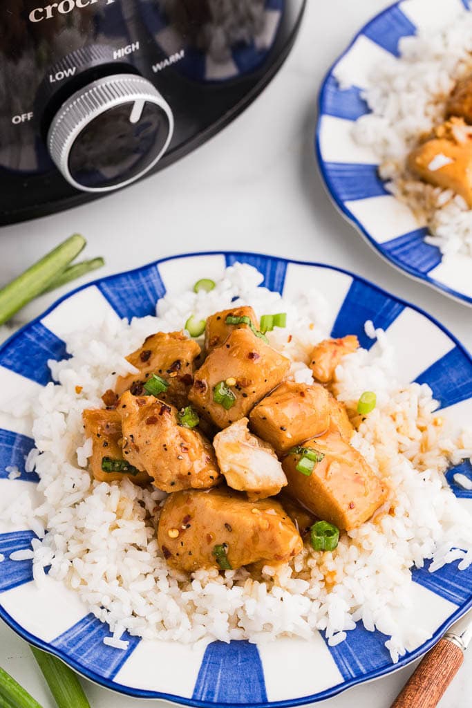 two blue and white dinner plates of white rice and apricot chicken, with black slow cooker in background