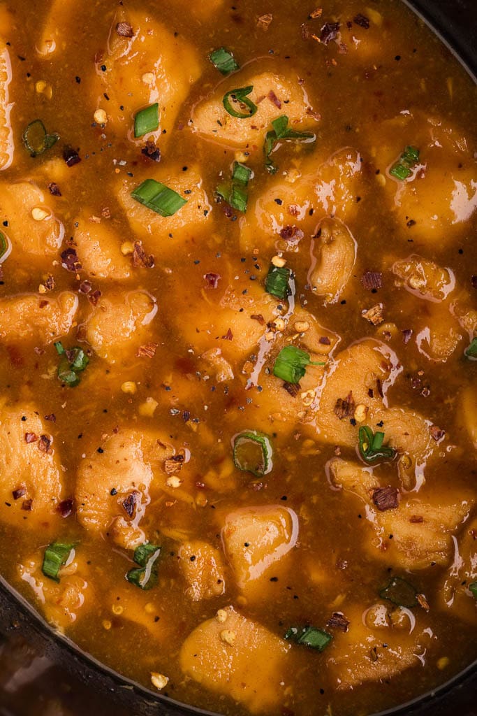 closeup view of apricot chicken