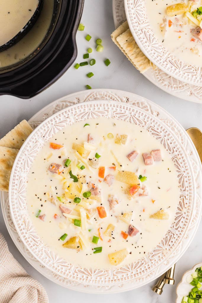 overhead view of 2 bowls of soup with black slow cooker in background