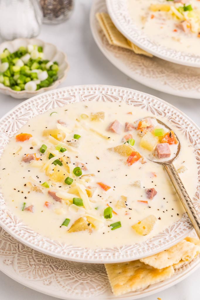 2 bowls of slow cooker soup with gold spoons inserted in bowl with crackers, green onions, and salt and pepper in background